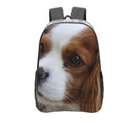 YXDVPALNE Cavalier King Charles Spaniel mignon,16 pouces Sac à dos décontracté Sac à dos transparent Sac d'école résistant à l'eau