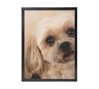 YXDVPALNE Chien Shitzu mignon,Impressions d'art mural, cadre noir, peinture décorative à suspendre pour la maison, 30 x 40 cm