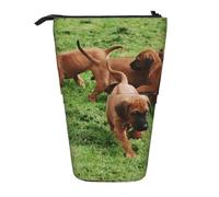 YXDVPALNE Chiens et Chiots de Rhodesian Ridgeback, Animaux de Compagnie et Famille,Trousse à Crayons télescopique, Porte-Crayons avec Pochette à Crayons zippée