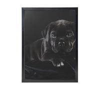 YXDVPALNE Chiot Cane Corso Pets Chiot Cane Corso noir,Impressions d'art mural, cadre noir, peinture décorative à suspendre pour la maison, 30 x 40 cm