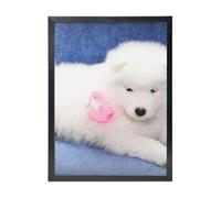 YXDVPALNE Chiot Samoyède Chiens Blancs Chiot Avec Arc Furry,Impressions d'art mural, cadre noir, peinture décorative à suspendre pour la maison, 30 x 40 cm