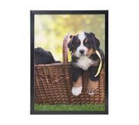 YXDVPALNE Chiots Bouvier Bernois,Impressions d'art mural, cadre noir, peinture décorative à suspendre pour la maison, 30 x 40 cm