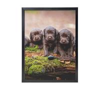 YXDVPALNE Chiots Labrador Brown Little Puppies Famille,Impressions d'art mural, cadre noir, peinture décorative à suspendre pour la maison, 30 x 40 cm