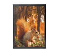 YXDVPALNE Écureuil mignon mangeant des noix,Impressions d'art mural, cadre noir, peinture décorative à suspendre pour la maison, 30 x 40 cm