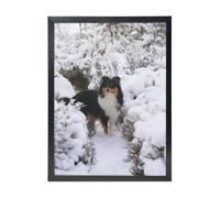 YXDVPALNE Fond d'écran Sheltie d'hiver,Impressions d'art mural, cadre noir, peinture décorative à suspendre pour la maison, 30 x 40 cm