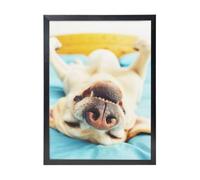 YXDVPALNE Labrador endormi,Impressions d'art mural, cadre noir, peinture décorative à suspendre pour la maison, 30 x 40 cm