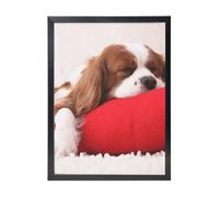 YXDVPALNE Modèle Cavalier King Charles Spaniel,Impressions d'art mural, cadre noir, peinture décorative à suspendre pour la maison, 30 x 40 cm