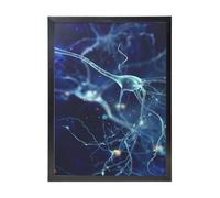 YXDVPALNE Neurologie des neurones et des cellules cérébrales 3D,Impressions d'art mural, cadre noir, peinture décorative à suspendre pour la maison, 30 x 40 cm