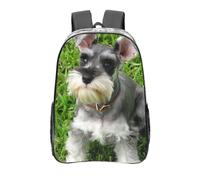 YXDVPALNE Schnauzer nain,16 pouces Sac à dos décontracté Sac à dos transparent Sac d'école résistant à l'eau