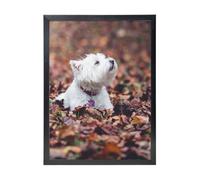 YXDVPALNE Westie Bokeh West Highland White Terrier Chiens,Impressions d'art mural, cadre noir, peinture décorative à suspendre pour la maison, 30 x 40 cm