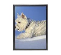 YXDVPALNE Westie Winter West Highland White Terrier Chiens,Impressions d'art mural, cadre noir, peinture décorative à suspendre pour la maison, 30 x 40 cm