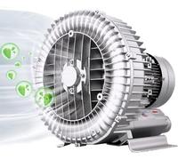 YXFAZPP Souffleur régénératif,Souffleur annulaire Vortex Haute Pression, Souffleur régénératif,Aquariums/Fermes piscicoles/Aquaculture/Pompe à Vide Industrielle (370w/0.5hp)