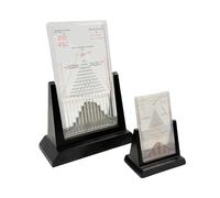 YXHXWKJ Modèle de démonstration de probabilités de la Machine à Fleurs de Prunier de Galton avec Courbe en Cloche, Outil pédagogique de Laboratoire de Physique(Large)