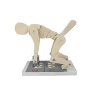 YXHXWKJ Modèle de démonstration des Forces exercées sur la Colonne vertébrale Lors de la Flexion du Corps Humain et du Levage de Poids, modèle de Protection de la Colonne Lombaire