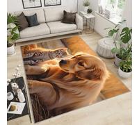 YXQAIED Golden Retriever Tapis d'entrée lavable pour chambre à coucher, garçon, fille, enfant, motif chat mignon, orange, 70 x 140 cm