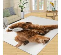 YXQAIED Golden Retriever Tapis lavable pour entrée, salon, chambre à coucher, amoureux des chiens, motif animal mignon 3D pour garçons et filles, motif chien écoutant de la musique, 60 x 90 cm