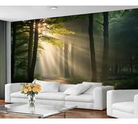 YXQAIED Papier peint de chemin ensoleillé - Papier peint photo de ferme forestière - Peintures murales pour salon, chambre à coucher, décoration d'intérieur, 366 x 254 cm