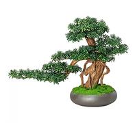 YXWYXWA Bonsaï Artificiel Arbre Artificiel Simulation Arbre Arbre Fausse Plantes décoration de bonsaï, 13 Pouces Fausse Plante Verte en Pot en Pot pour Le Salon décoration de la Maison pour