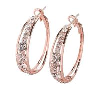 YXWYXWA Earrings for Women D Shape Cubic Zirconia Earring Studs IC Earrings Birthday Jewelry Party