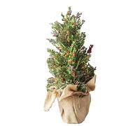 YXWYXWA PVC - cyprès, décoration d'arbre de Neige à Petits Fruits Rouges, Noël, Arbre de décoration de Bureau, utilisé pour l'atmosphère de Shopping de Bureau à Domicile