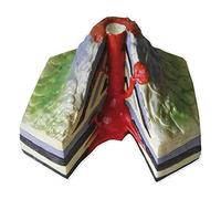 YXZQLOZ Modèle de corps humain pour l'enseignement de la géographie modèle volcanique, modèle d'éruption volcanique - Modèles de géographie et de géomorphologie