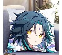 YYATT Game Coussin Rembourré pour Xiao 50 * 50CM, Housse de Coussin Double Face Décoration D'intérieur pour Les Fans Joueurs Cadeaux,1