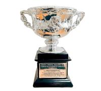 YYDSTES Réplique du Mini Trophée de Tennis Masculin de L'Open D'Australie de 6,3 Pouces,Trophées de Champions du Grand Chelem,Objets de Collection et Souvenirs,Décorations de Bureau et de Maison