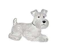 YYDSWTW Boîte de Rangement commémorative pour Animaux de Compagnie Fourrure Transparent Contenant de Porte-porteurs de Porte-clés Portable 1 Paquet de Pack pour Les propriétaires Hors F