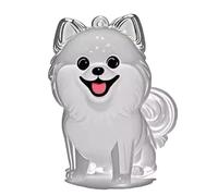 YYDSWTW CHEP HOIGNES CHIETCHAIN Pendant CONTAREAUR Transparent 1 Pack Pack Portable PROPRICON Charm Forme pour Les PROPRIÉTAIRES Pet MEMORAL Fur B