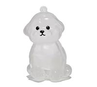 YYDSWTW Pet Memorial Storage Box Hair Hoiffes Keychain Souvenir Keyring Portable 1 Pack Conteneur Transparent pour Les propriétaires D