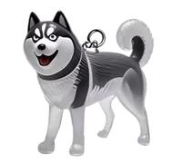 YYDSWTW Pet Memorial Storage Box Hair Hoiffes Keychain Souvenir Keyring Portable 1 Pack Conteneur Transparent pour Les propriétaires A