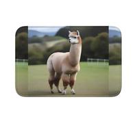 YYHHAOFA Alpaga's Body Display Pattern Crystal Velvet Lock Edge Tapis de sol pour chambre à coucher, salon, dortoir, décoration de la maison