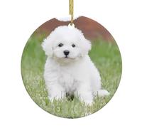 YYHHAOFA Bichon Frise Chien Noël Rond Pendentif Décoration en Céramique - Facile à Suspendre - 7,4 cm