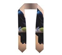 YYHHAOFA Châle en ruban aplati avec deux corbeaux noirs - Étole en satin pour cérémonie de remise de diplôme, cadeau pour fils, filles, amis et sœurs, Aplati, Taille unique