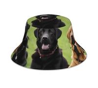 YYHHAOFA Chapeau bob réfléchissant avec imprimé chiens labrador retriever, léger, respirant, pliable pour homme et femme, noir
