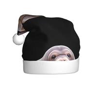 YYHHAOFA Chapeau de Noël à motif lion de mer rampant pour adulte, ce qui en fait un cadeau amusant et durable pour homme et femme