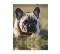 YYHHAOFA Couverture de qualité avec imprimé bouledogue français - 152,4 x 127 cm - Légère, chaude et durable - Convient pour lit et canapé