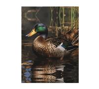 YYHHAOFA Couverture de qualité avec motif canard colvert pour garder au chaud 152,4 x 127 cm, jeté de lit, jeté de lit, durable