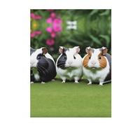 YYHHAOFA Couverture de qualité pour garder au chaud plusieurs cochons d'Inde, 127 x 101,6 cm, légère, chaude et durable, adaptée pour lit et canapé