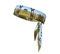 YYHHAOFA Foulard de sport avec image d'âne mignon, absorbant la transpiration et respirant, bandeau de mouvement, foulard double face