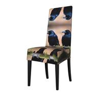 YYHHAOFA La housse de chaise de salle à manger imprimée de deux corbeaux noirs est facile à démonter et fabriquée en tissu haute résilience résistant à l'usure