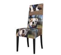 YYHHAOFA La housse de chaise imprimée bouledogues anglais est facile à démonter et fabriquée en tissu haute résilience résistant à l'usure