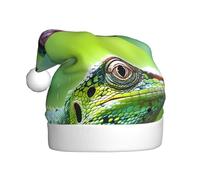 YYHHAOFA Lizard Close-Up Picture Chapeau de Noël pour adulte pour homme et femme Vêtements Bandeau pour les occasions festives