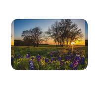 YYHHAOFA Lock Edge Tapis de sol 101,6 x 152,4 cm Lavande prairie au coucher du soleil Motif printemps absorbant l'eau et antidérapant doux et confortable pour salle de bain et cuisine