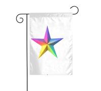 YYHHAOFA Mât de drapeau de jardin avec étoiles colorées à cinq branches imprimées double face 30,5 x 45,7 cm