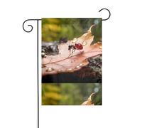 YYHHAOFA Mât de drapeau imprimé petites fourmis sur feuilles d'érable pour décoration de cour extérieure double face 30,5 x 45,7 cm