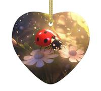 YYHHAOFA Pendentif de Noël en céramique pour décorations de fête et cadeaux Motif coccinelle