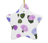 Yyhhaofa Pendentif en forme d'étoile en céramique pour sapin de Noël Motif gloire du matin