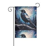 YYHHAOFA Pie dans le ciel étoilé imprimé mât de drapeau extérieur cour décoration double face 30,5 x 45,7 cm