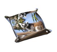 YYHHAOFA Plateau de rangement en cuir imprimé lémurien ringtailed imperméable et facile à nettoyer pour ranger clés, montre, maquillage et autres petits objets. Taille M
